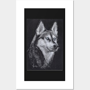 Siberian Husky Posters and Art